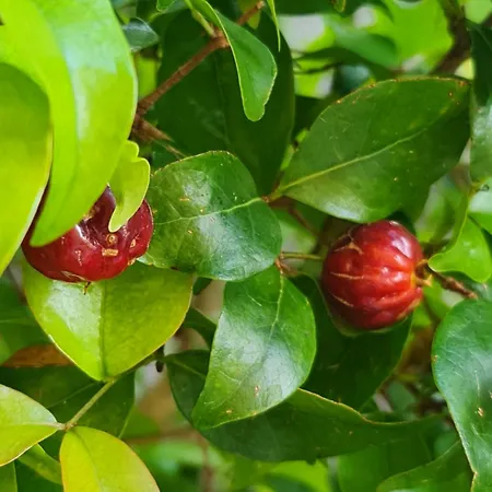 Casa Do 304 Апартаменты *