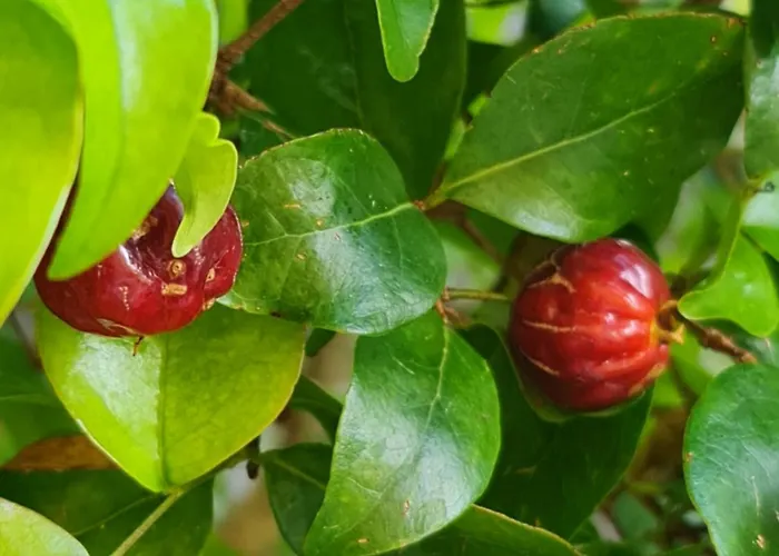 Casa Do 304 Appartement *