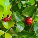 Casa Do 304 公寓 *