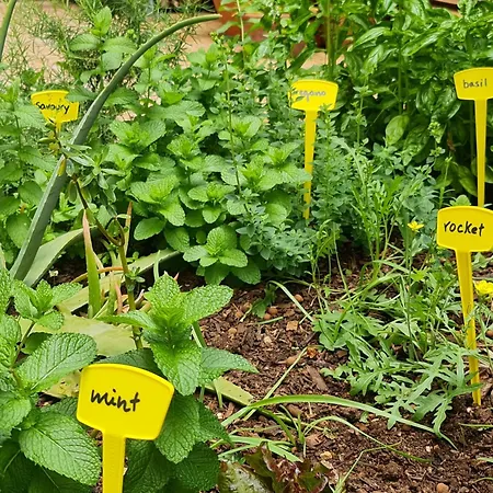 Casa Do 304 شقة *