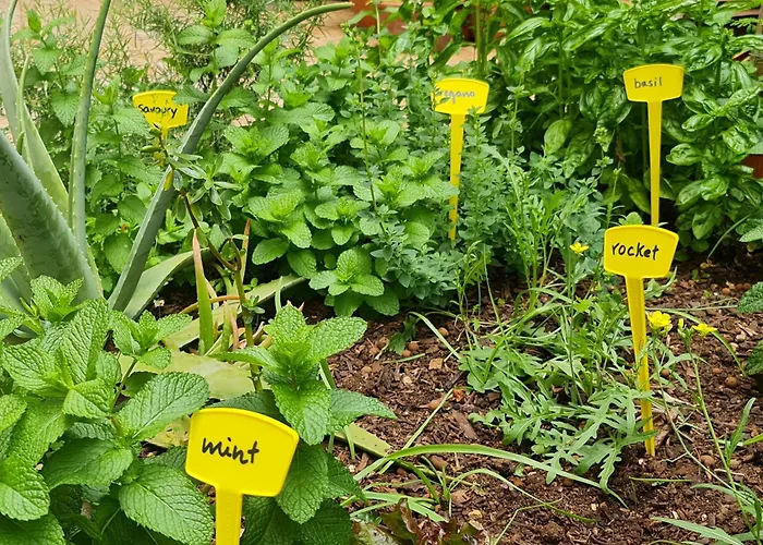 Casa Do 304 公寓 *